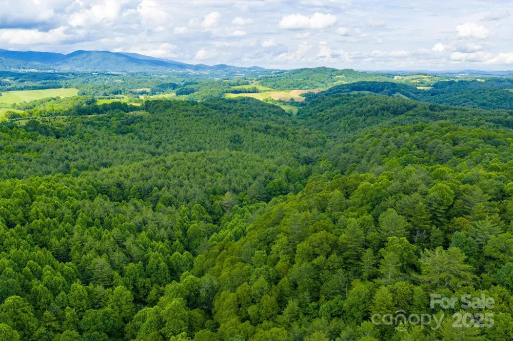 TBD Phipps Dairy Road Piney Creek, NC 28663