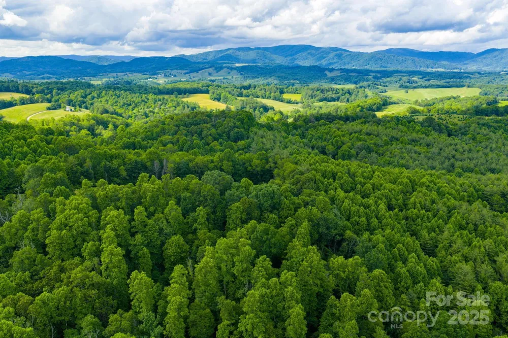 TBD Phipps Dairy Road Piney Creek, NC 28663