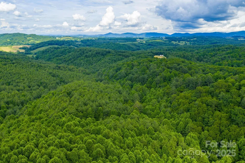 TBD Phipps Dairy Road Piney Creek, NC 28663