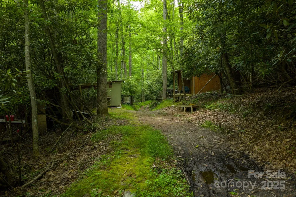 TBD Phipps Dairy Road Piney Creek, NC 28663