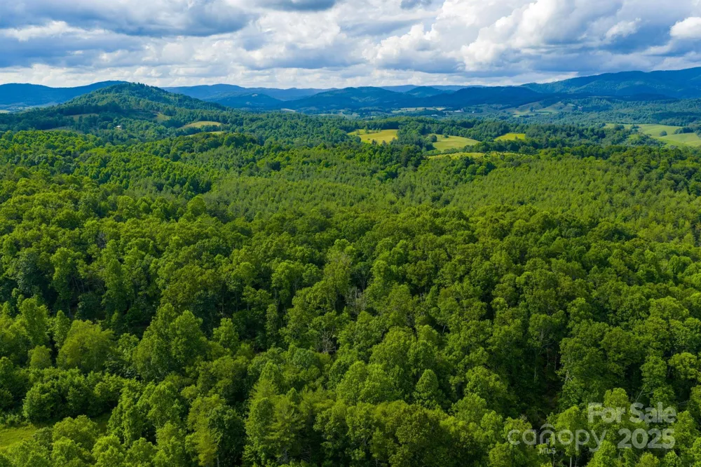 TBD Phipps Dairy Road Piney Creek, NC 28663