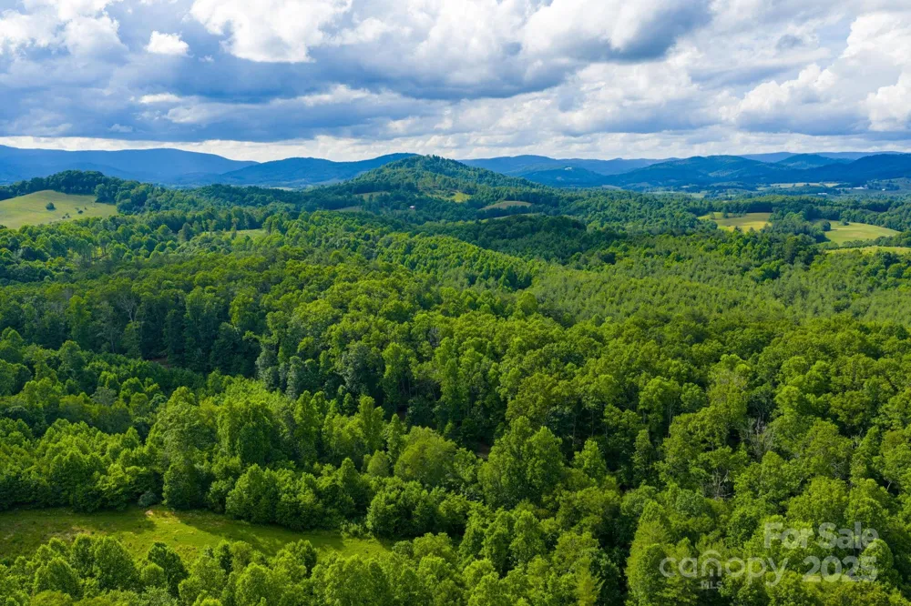 TBD Phipps Dairy Road Piney Creek, NC 28663