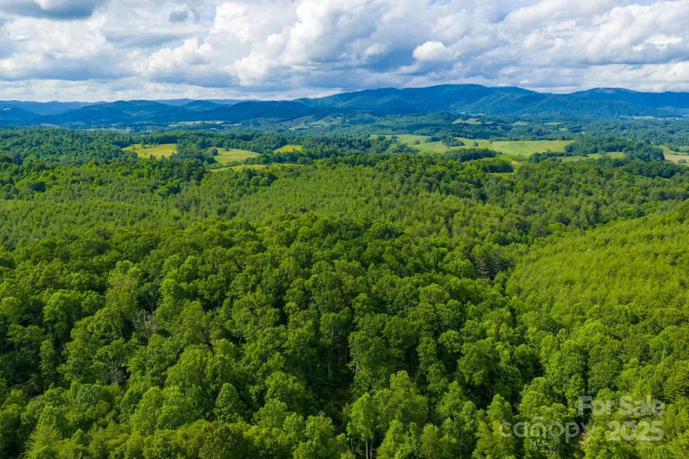 TBD Phipps Dairy Road Piney Creek, NC 28663