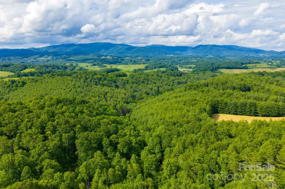 TBD Phipps Dairy Road Piney Creek, NC 28663