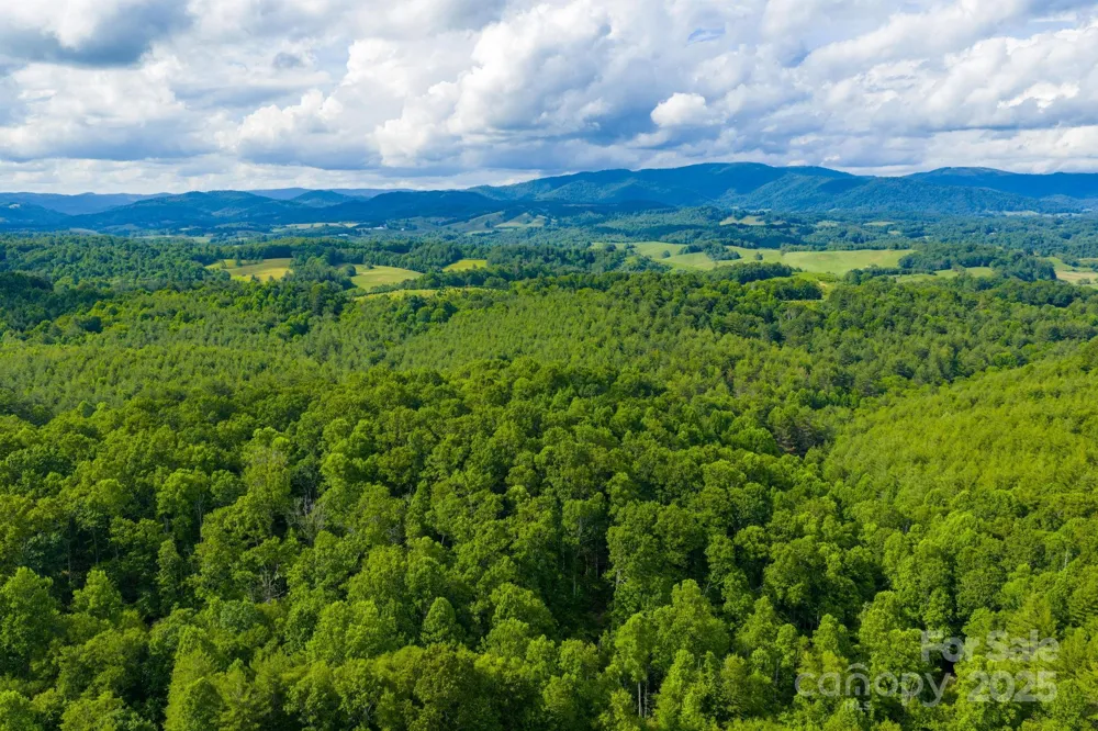 TBD Phipps Dairy Road Piney Creek, NC 28663