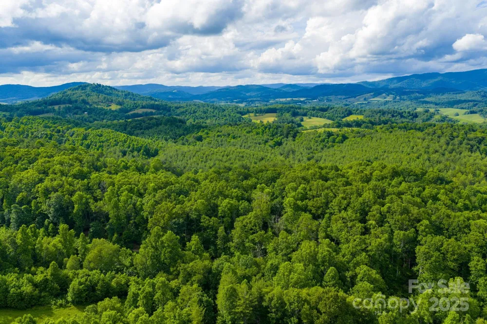 TBD Phipps Dairy Road Piney Creek, NC 28663