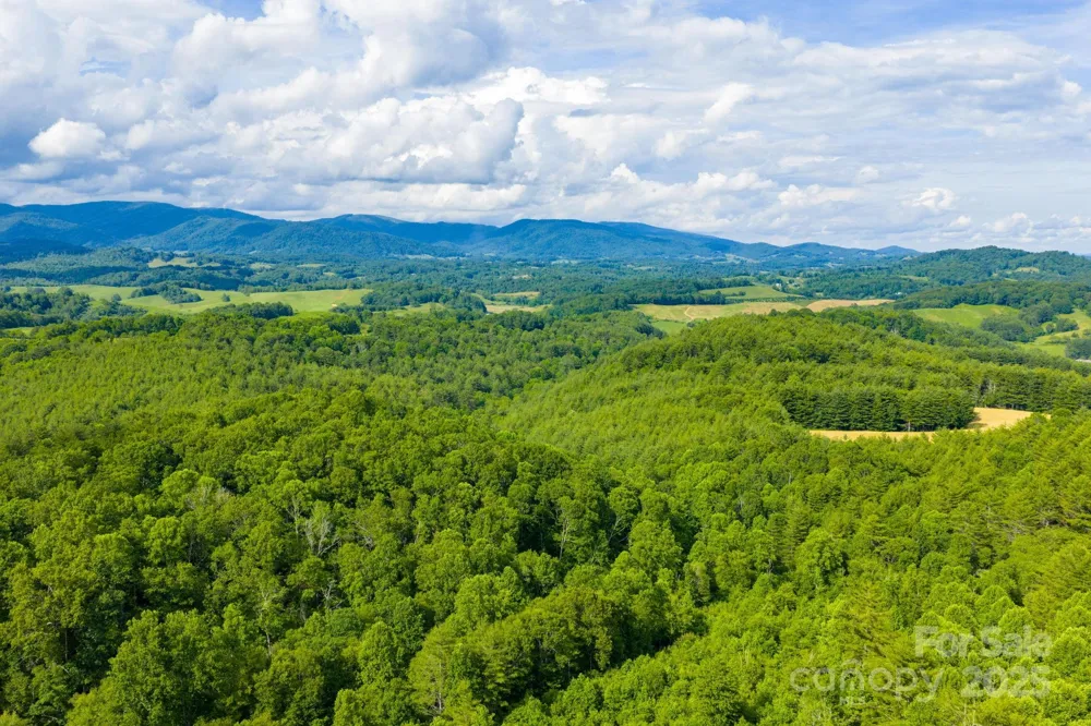 TBD Phipps Dairy Road Piney Creek, NC 28663