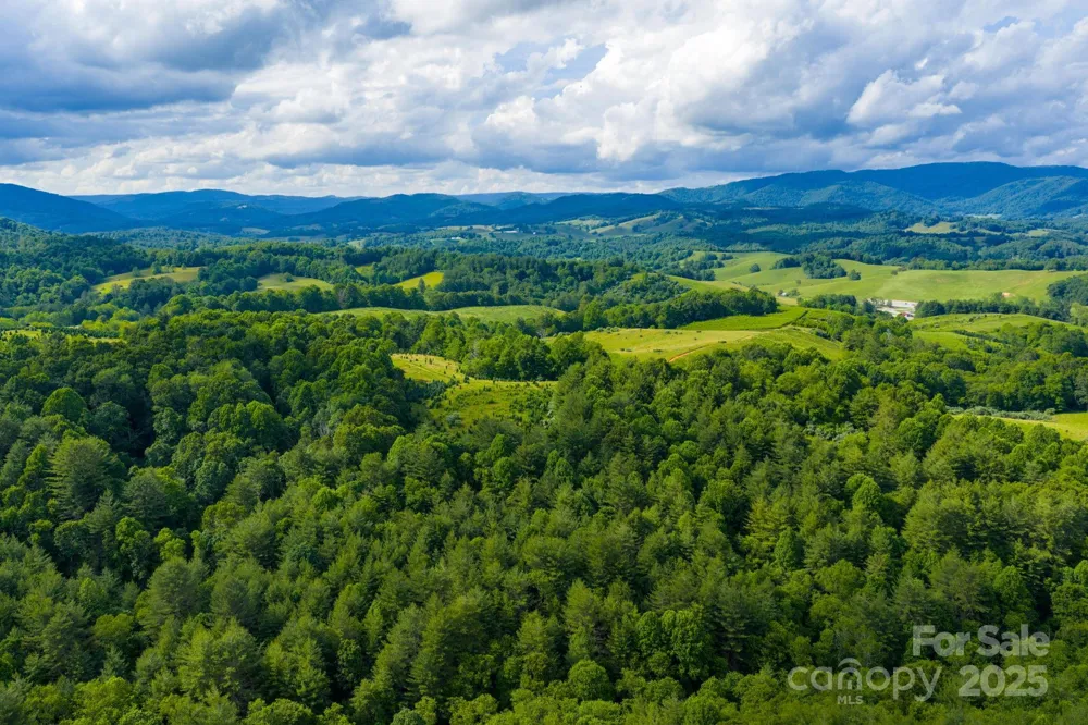 TBD Phipps Dairy Road Piney Creek, NC 28663