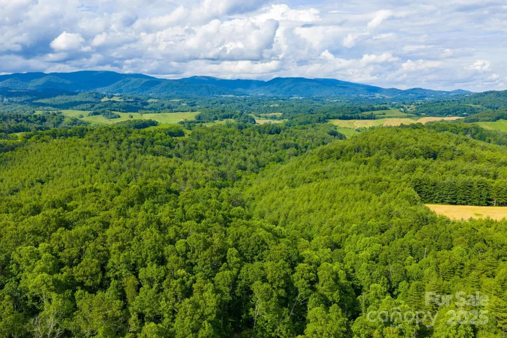 TBD Phipps Dairy Road Piney Creek, NC 28663