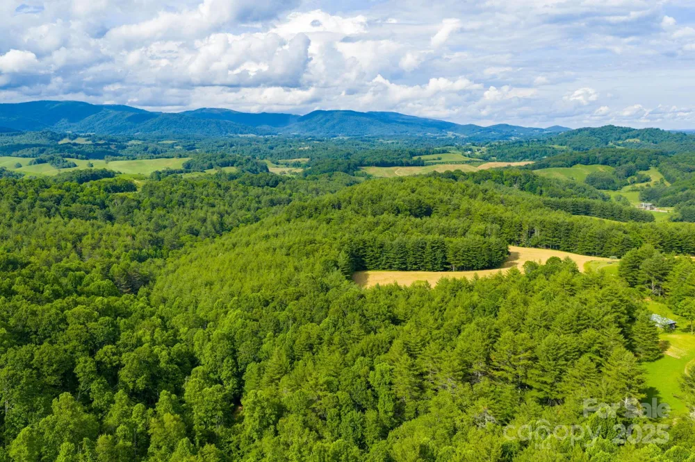 TBD Phipps Dairy Road Piney Creek, NC 28663