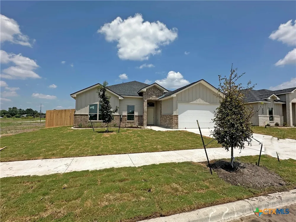 226 Sand Lilly Drive Temple, TX 76502