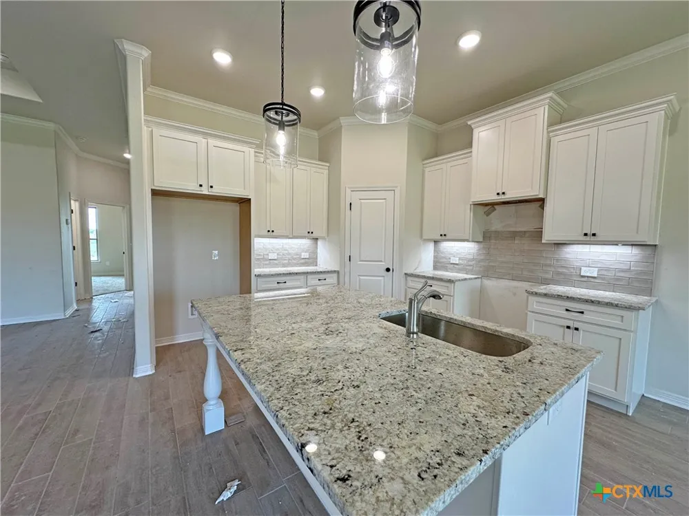 226 Sand Lilly Drive Temple, TX 76502