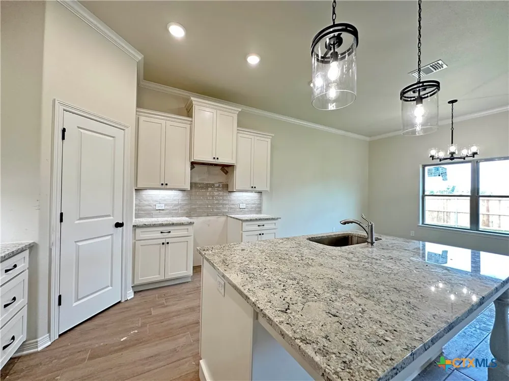 226 Sand Lilly Drive Temple, TX 76502