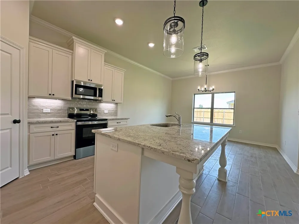 226 Sand Lilly Drive Temple, TX 76502