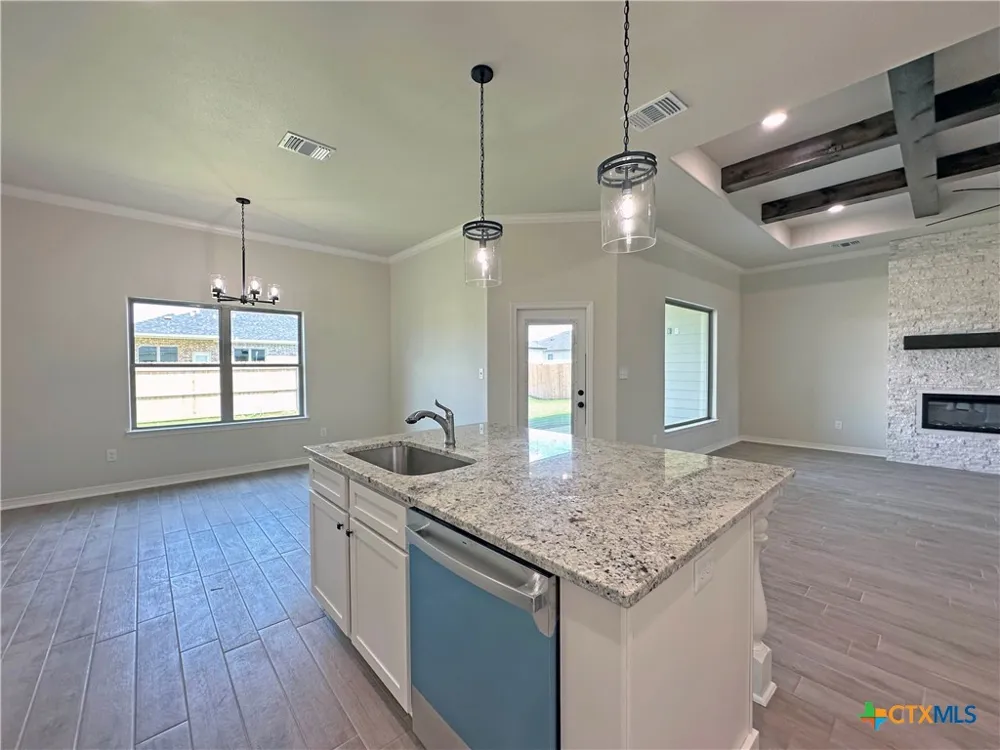 226 Sand Lilly Drive Temple, TX 76502