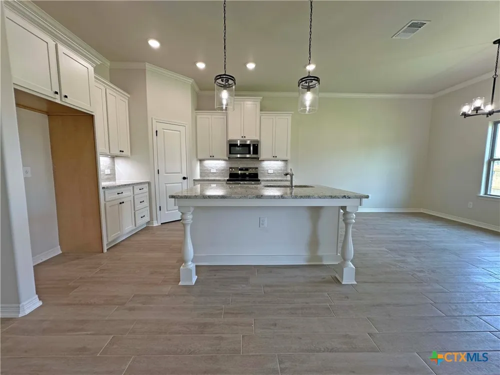 226 Sand Lilly Drive Temple, TX 76502