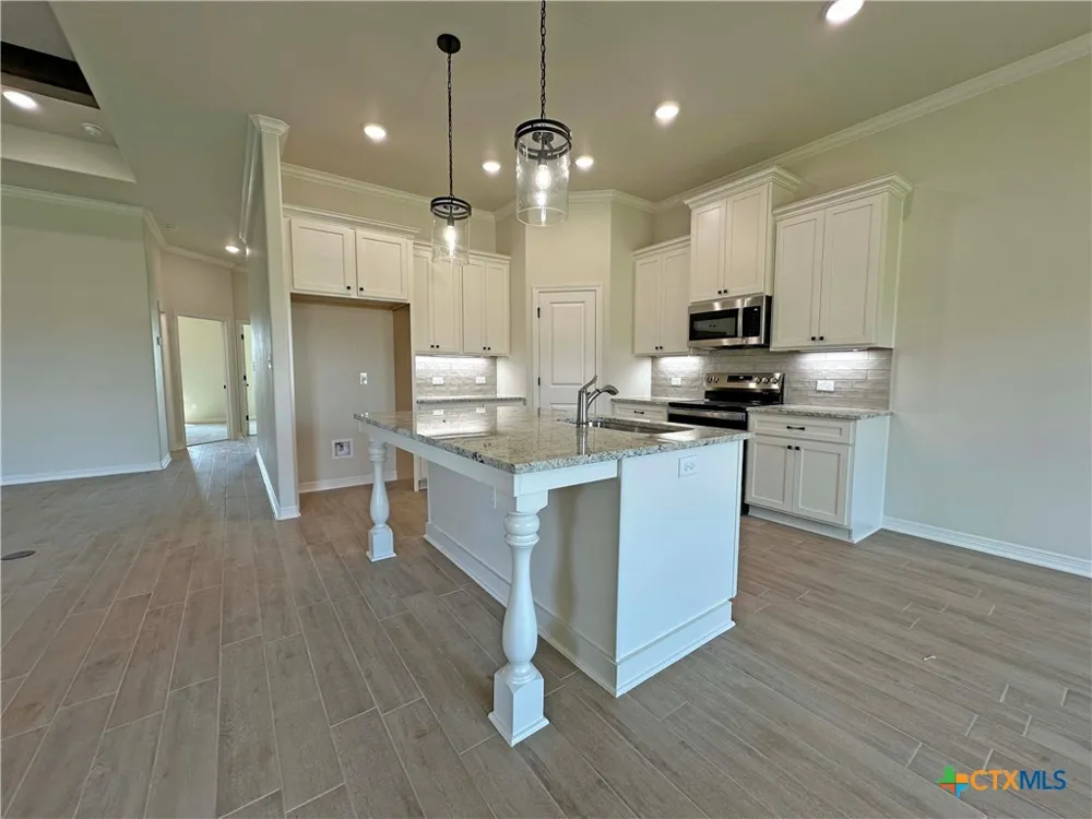 226 Sand Lilly Drive Temple, TX 76502