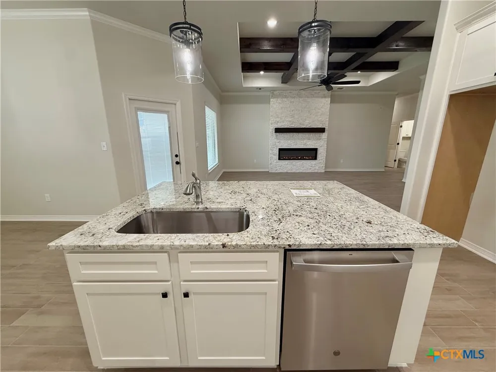 226 Sand Lilly Drive Temple, TX 76502