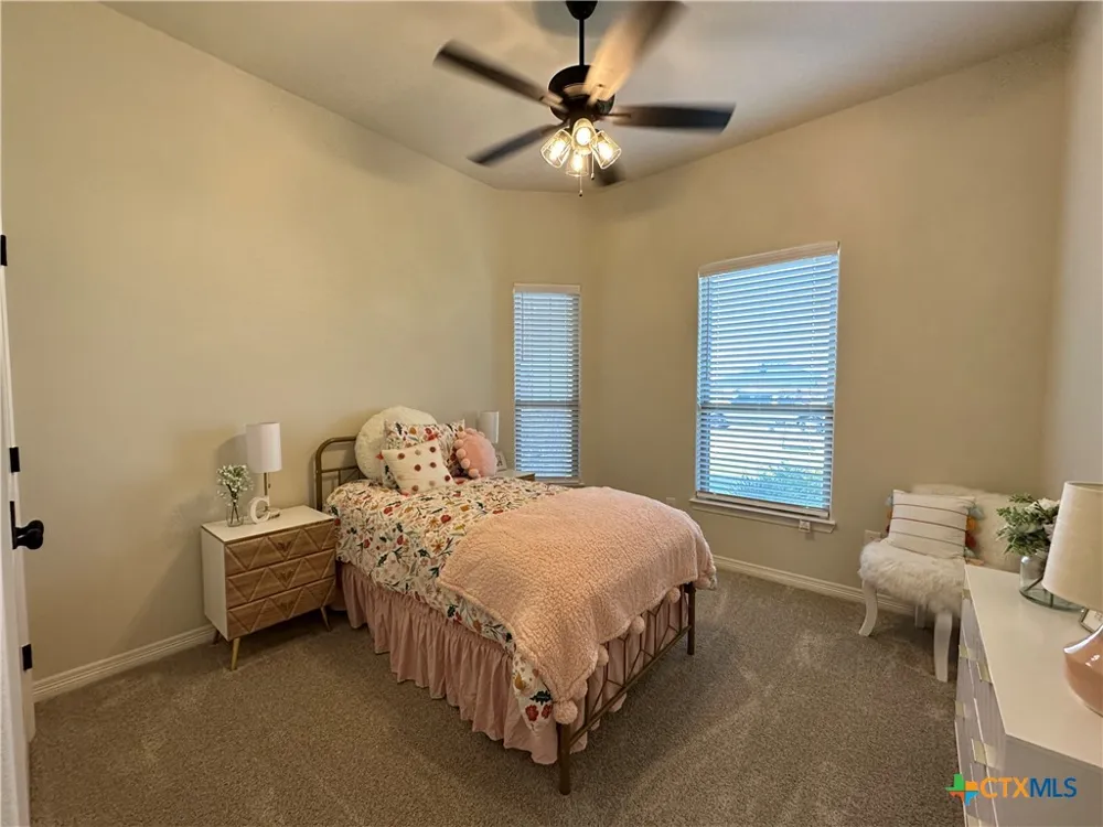 226 Sand Lilly Drive Temple, TX 76502