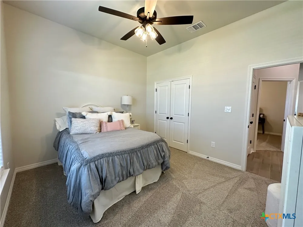 226 Sand Lilly Drive Temple, TX 76502