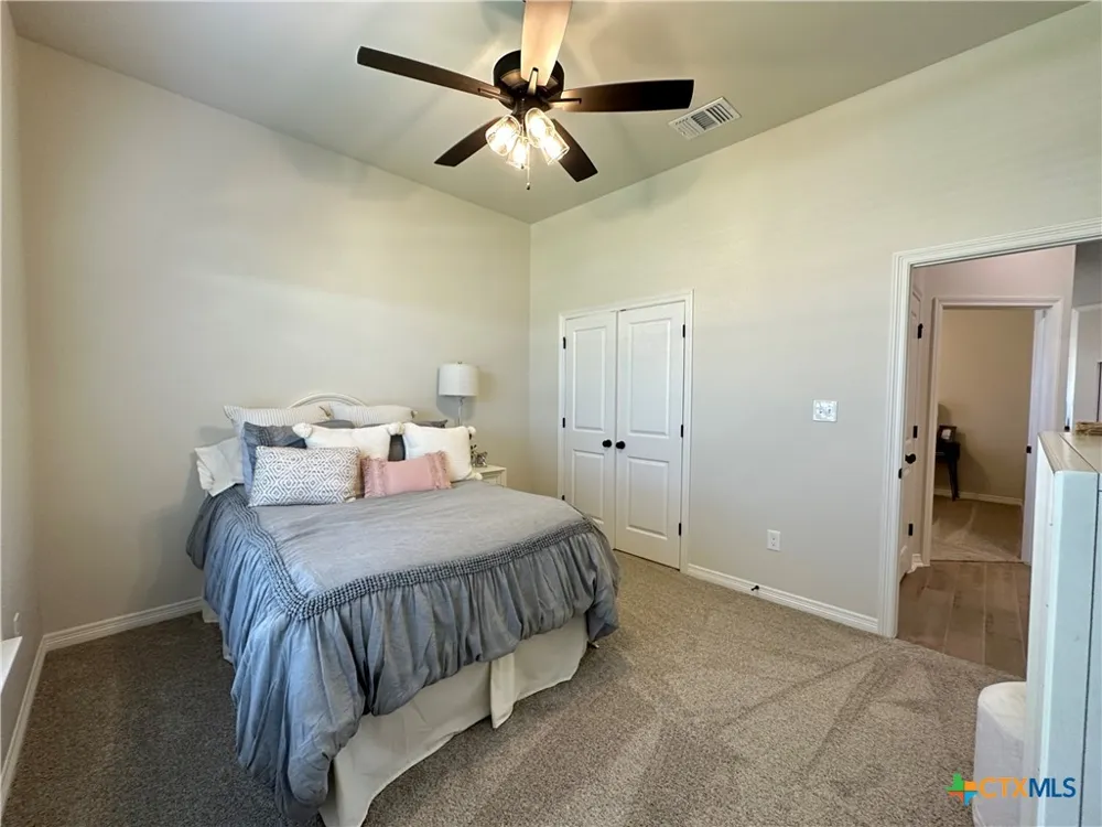 226 Sand Lilly Drive Temple, TX 76502