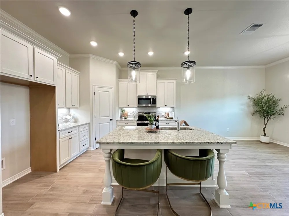 226 Sand Lilly Drive Temple, TX 76502