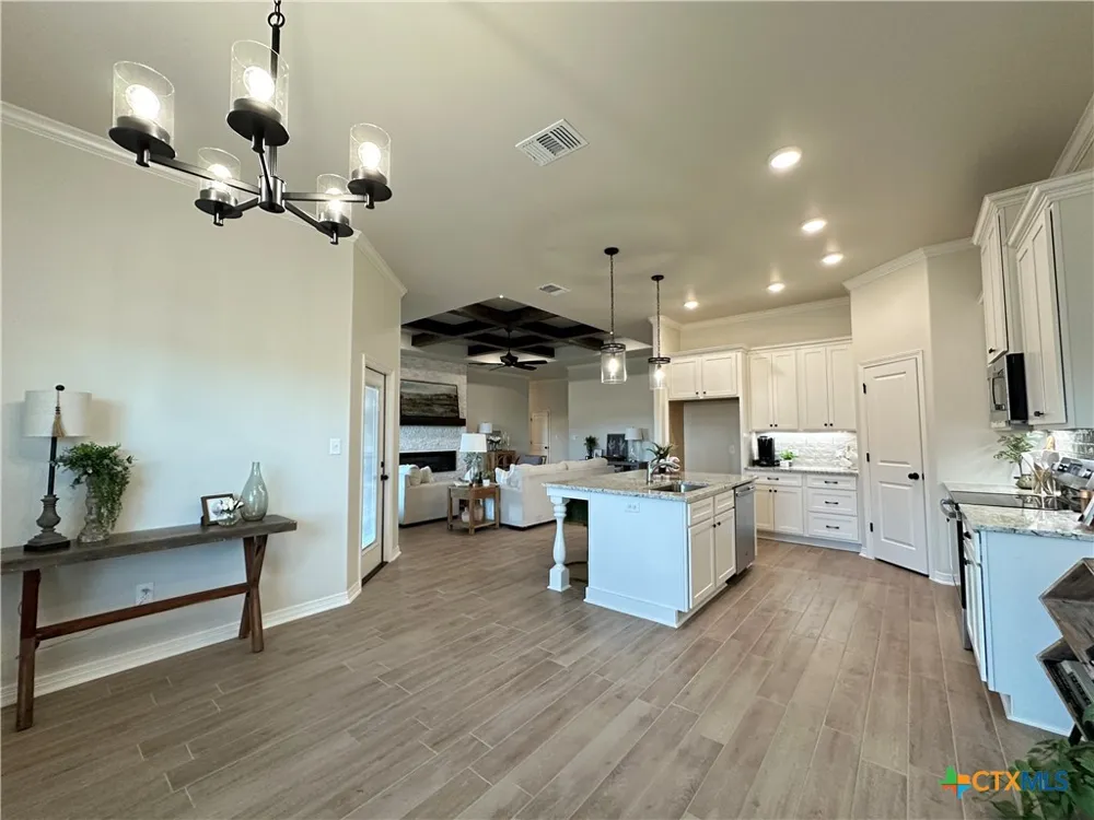 226 Sand Lilly Drive Temple, TX 76502