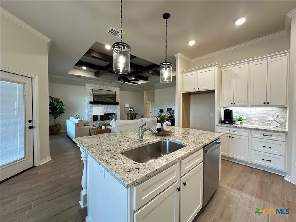 226 Sand Lilly Drive Temple, TX 76502