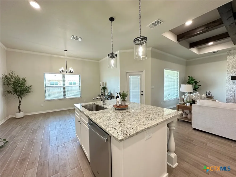 226 Sand Lilly Drive Temple, TX 76502