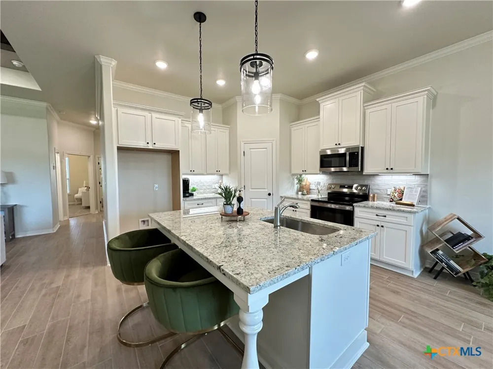 226 Sand Lilly Drive Temple, TX 76502