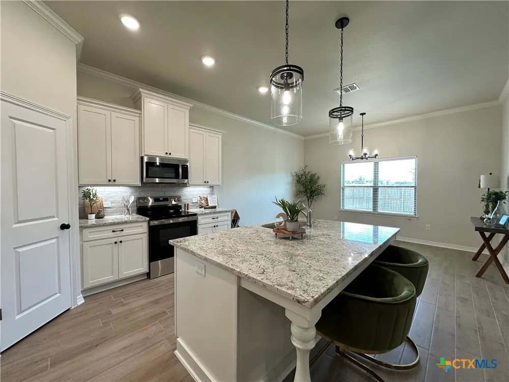 226 Sand Lilly Drive Temple, TX 76502