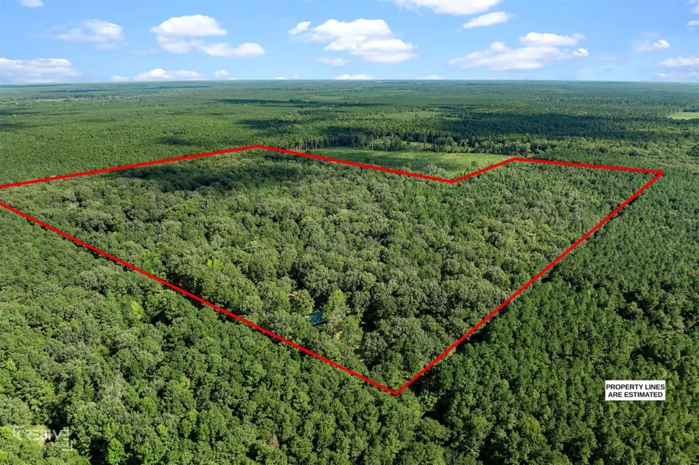 356 Cottage Grove Road Benton, LA 71006