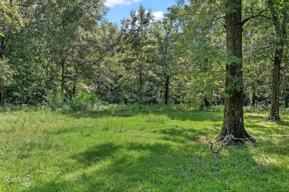 356 Cottage Grove Road Benton, LA 71006