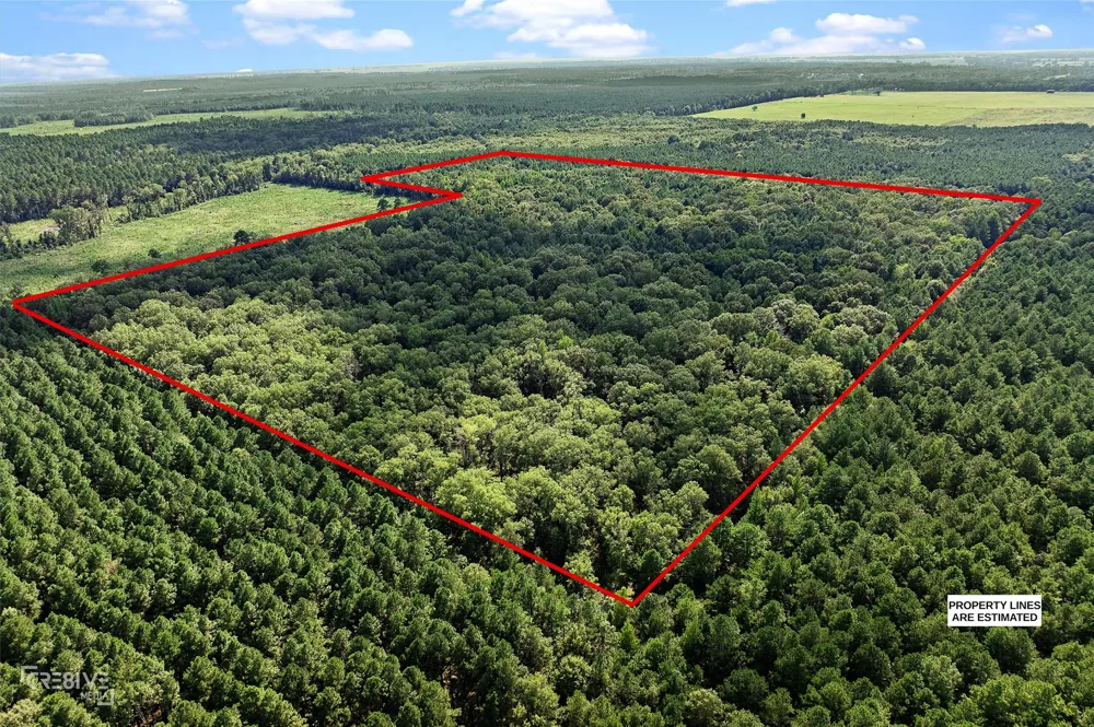 356 Cottage Grove Road Benton, LA 71006