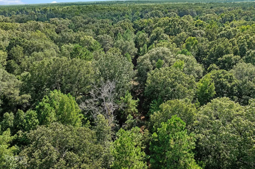 356 Cottage Grove Road Benton, LA 71006