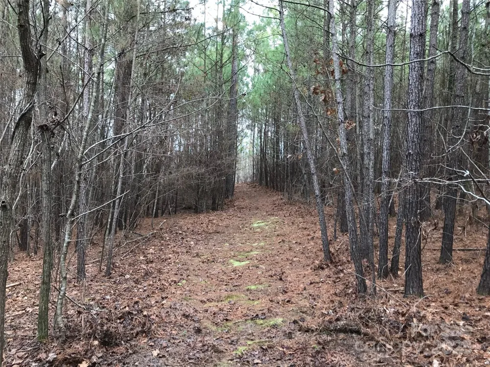 68 Lakeside Trail #68 Lilesville, NC 28170