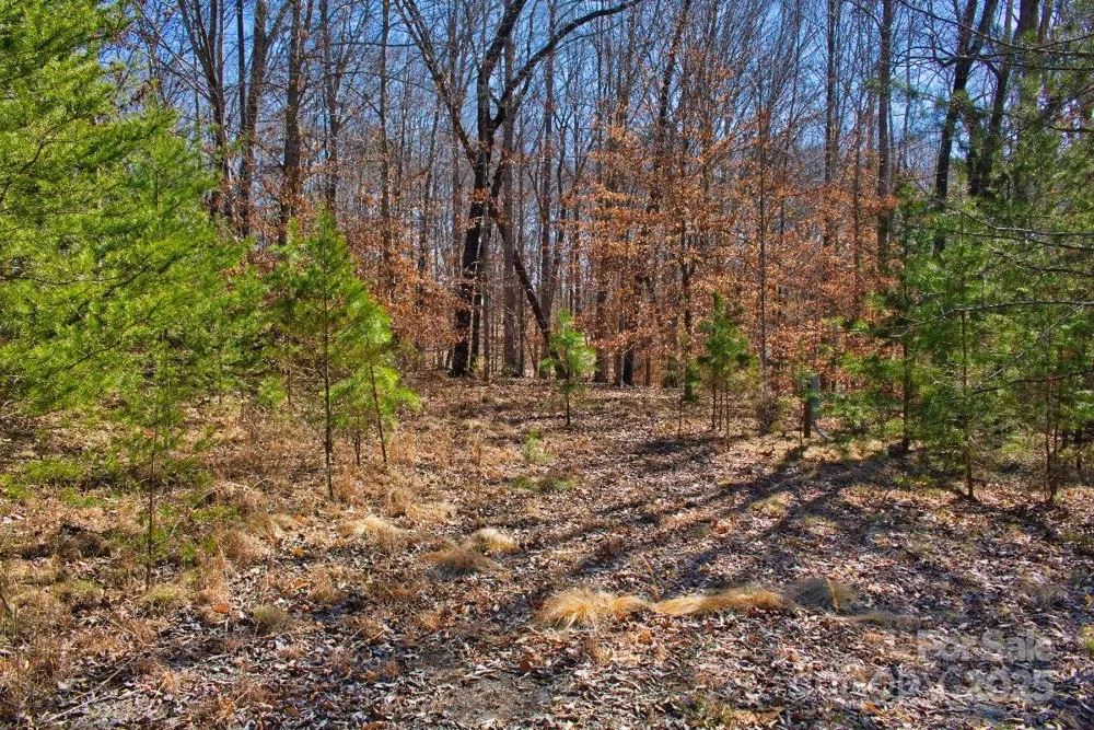 0 Cinnamon Ridge #404 Rutherfordton, NC 28139