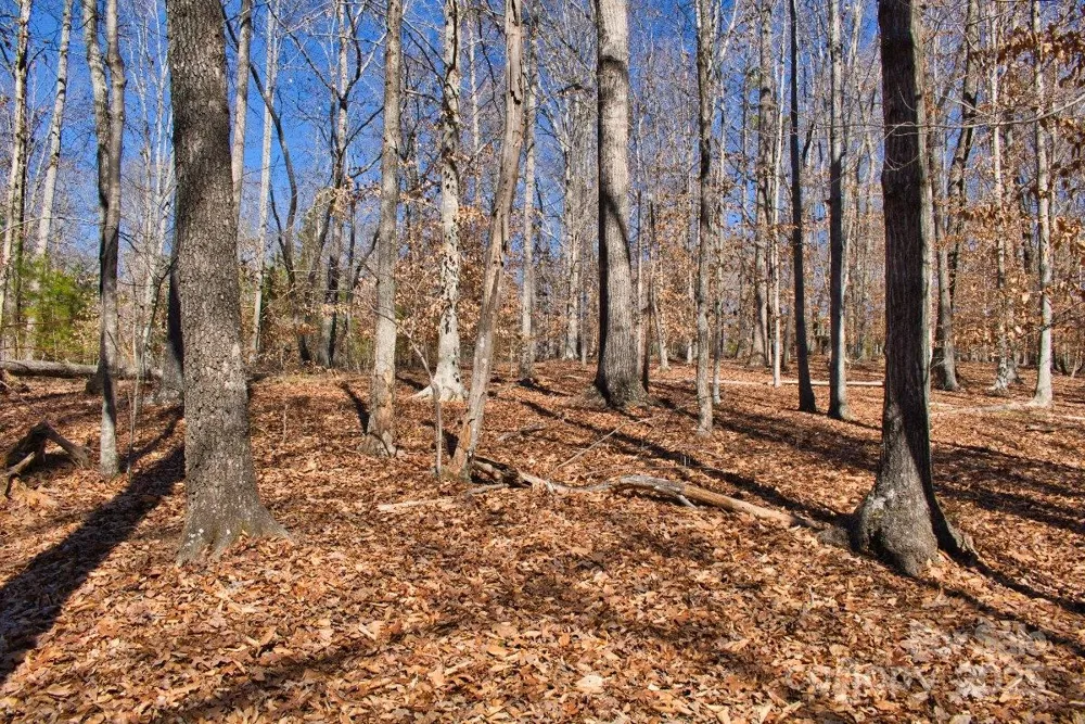 0 Cinnamon Ridge #404 Rutherfordton, NC 28139