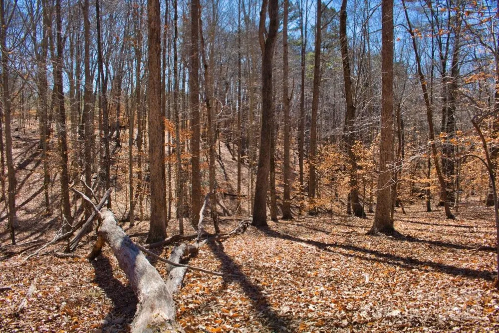 0 Cinnamon Ridge #404 Rutherfordton, NC 28139