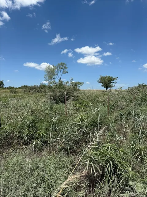 Cr 410