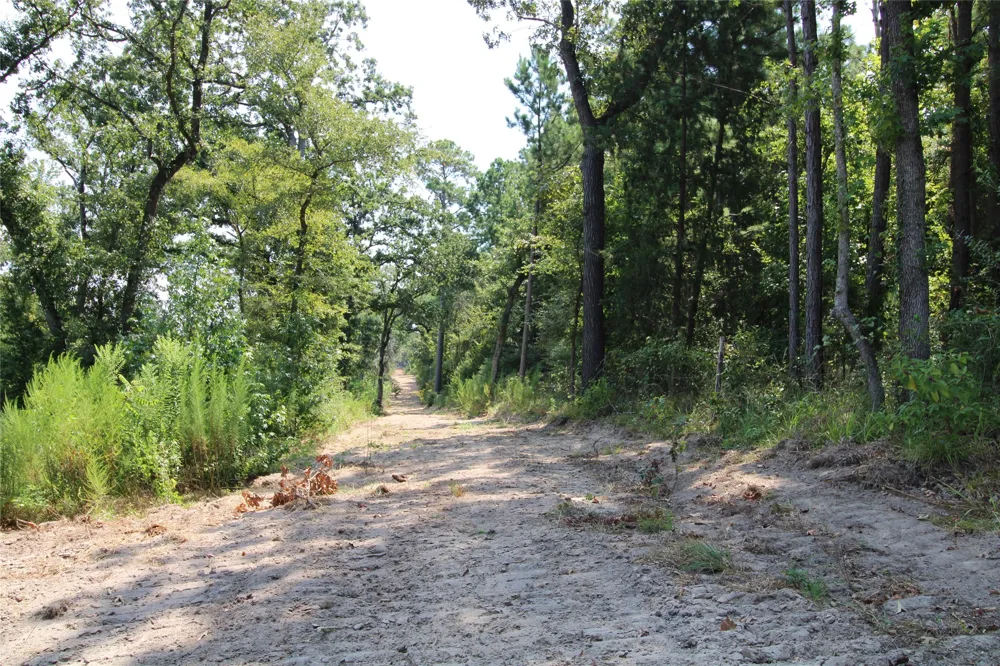 6935 U.S. Highway 175 W Jacksonville, TX 75766