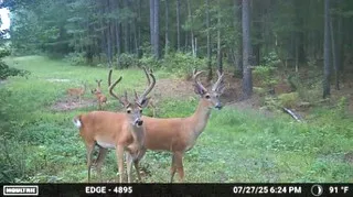 6935 U.S. Highway 175 W Jacksonville, TX 75766