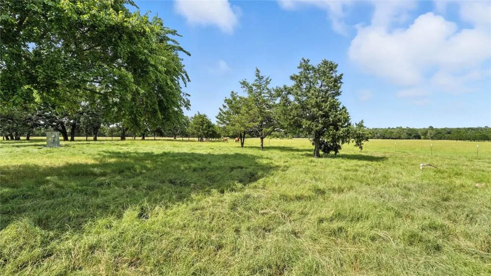705 Antioch Road Paige, TX 78659