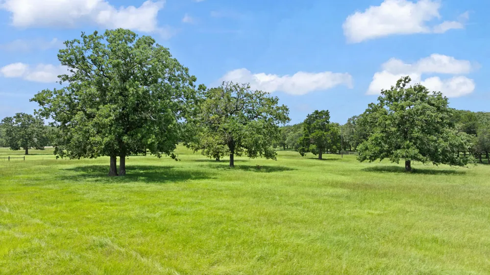 705 Antioch Road Paige, TX 78659