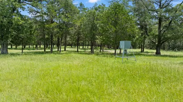 705 Antioch Road Paige, TX 78659