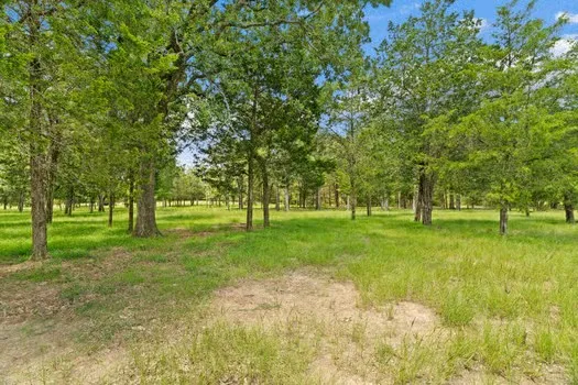 705 Antioch Road Paige, TX 78659