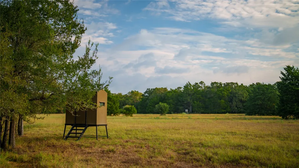 705 Antioch Road Paige, TX 78659