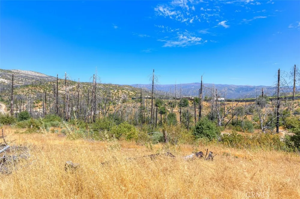 186 Harrison Springs Road Berry Creek, CA 95916