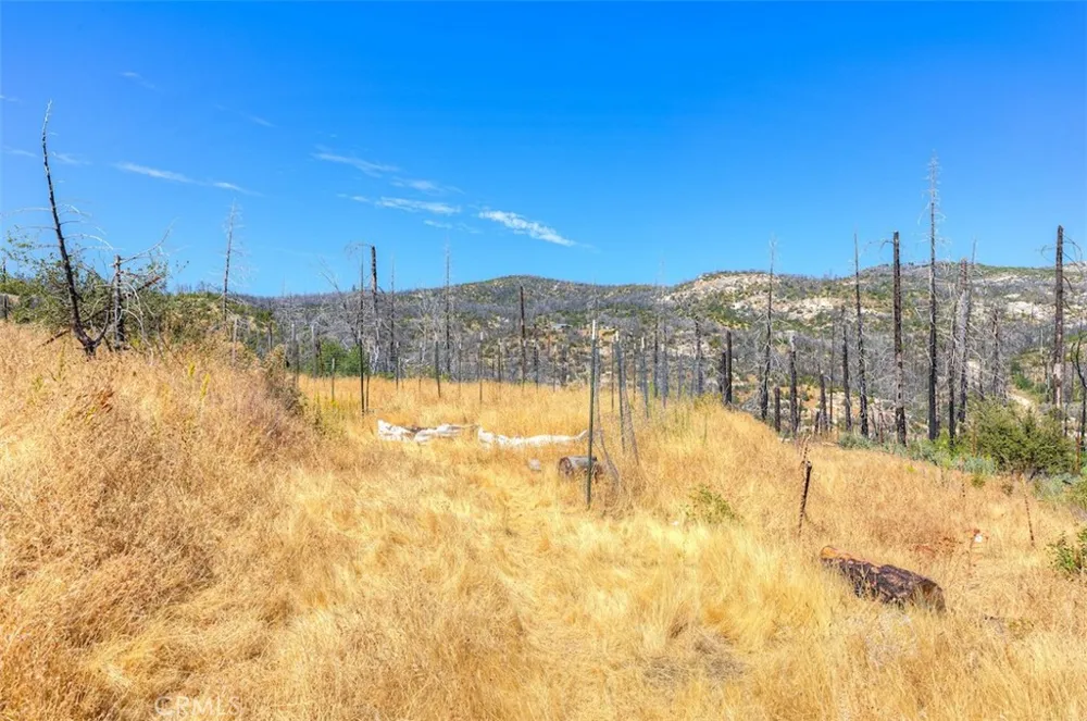 186 Harrison Springs Road Berry Creek, CA 95916