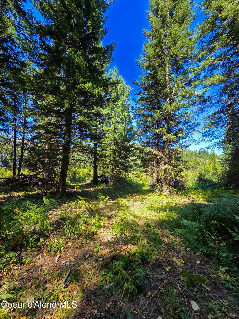 NNA Pup Paw 10 acres Priest River, ID 83856